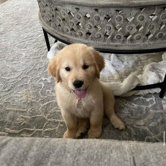 NALA PROF NALA PROF